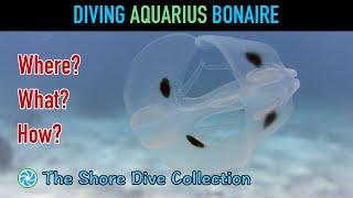 Diving Aquarius Bonaire | The Shore Dive Collection | TropicLens - 4K