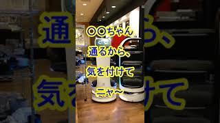 通れなくてイライラ募らせる猫型配膳ロボット #shorts #ガスト