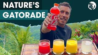 Gatorade vs Natural Fruit Juice