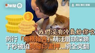 飼主向柴犬做例行「柴務報告」！萌汪被迫按狗腳印畫押｜寵物｜柴柴