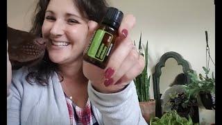 Lemon Eucalyptus | Uses & Tips