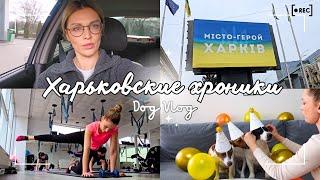 DOG VLOG | Что Случилось С Нами За Это Время - Харьков, Собаки, Спорт, Курсы Вождения, Крестины и др