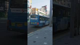 부산 16번 물방울 도색 bs106 하단역 인근 통과