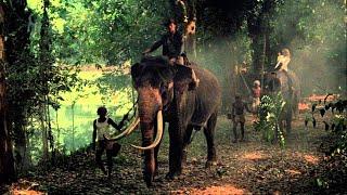 To Pankot Palace (Indiana Jones and the Temple of Doom)