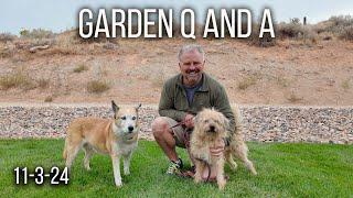 Garden Q and A - What Job If No Horticulture, Holly's Diet, Dividing Bulbs, Winter vs. Summer Sun