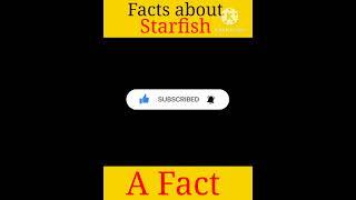 Amazing Facts about Starfish. #amazingfacts #pleasesubscribe #trending #facts #topfacts #viral