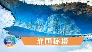 内蒙古额尔古纳国家级自然保护区 北国秘境——大兴安岭的“精灵” 20220318 |《远方的家》CCTV中文国际