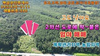 매물586 괴산군 장연면 위치, 2차선도로 접하고 고도 낮은 넓은 임야 매매