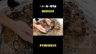 一人一狗一把弓箭，挑战荒岛生存 #综艺解说 #综艺 #网红