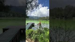 INDAHNYA TELAGA WARNA DIENG #shorts #viral