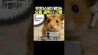 쿠크다스보다 얇다는 요즘 갤럭시 근황ㅋㅋㅋ
