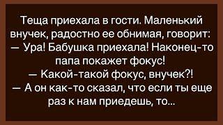 Про То Как Тёща Приехала В Гости!Сборник Свежих Смешных Анекдотов!Юмор!Смешно!