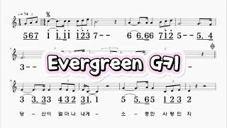 Evergreen G키 하모니카 악보 영상