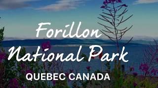 Forillon National Park