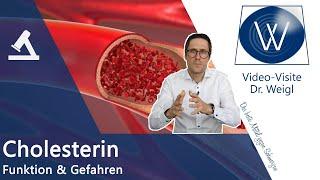 Cholesterin HDL & LDL - Kein Gift aber lebensnotwendig und trotzdem gefährlich: Hypercholesterinämie