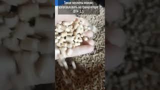 Изготовление пеллет для котла отопления; гранулятор ОГМ.