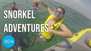 30A Tours Snorkel Adventure  