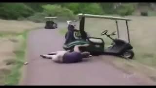 TruTV's Most Daring: My Personal Golf Cart Race Video. Friend Runs Over Himself With His Own Cart.