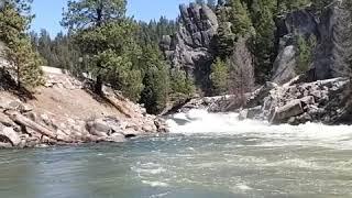 Jet boating Howard's plunge on the payette River up