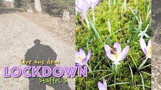 27. März - Live aus dem Lockdown Staffel 3 - Jugend-Gottesdienst mit Rebekka Gärtner