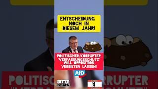 #AfD bald #verboten! Düstere Zeiten für #deutschland! #nachrichten #politik #shorts #viralvideo #