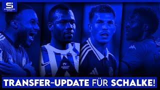 Transfer-Update Schalke: So steht es um Ba, Camara, Tempelmann, Sylla, Bulut & mehr!