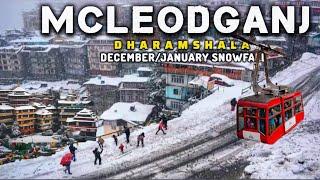 Best 10 Tourist Places In Mcleodganj|Best cafés & Restaurants in Mcleodganj|Mcleodganj Tour Guide