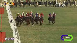 LUCKY POINT wins The Himalayas Plate