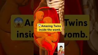 Amazing Twins inside the womb.(3D Animation)