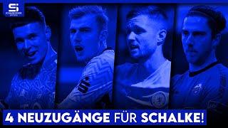 Wenn Hoffmann geht: Diese Torhüter können Schalkes neue Nummer 2 werden! | S04 Analyse