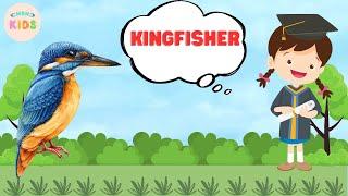 Kingfisher Facts For Kids  Learn All About Kingfishers | MON Kids