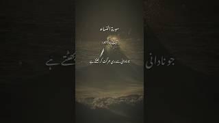 Surah An-Nisa Translation