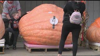 Locally grown giant pumpkin auction benefits hurricane victims