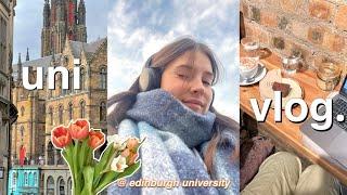 uni vlog️studying in cafés, wardrobe declutter, food shopping