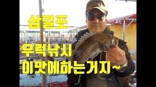 삼길포 바다좌대낚시 삼길포 만석바다좌대낚시터 우럭바다낚시,좌대낚시 sea fishing  Rockfish