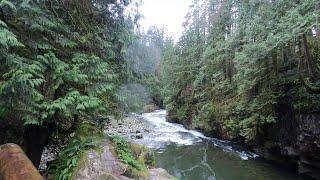 Capilano River Park, adjacent to the Suspension Bridge Park, has a variety of natural landscapes