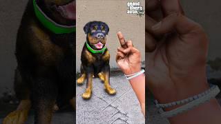 GTA V FRANKLIN DOG SHOW LOVE TO OTHER DOG PART 5 | #shorts | Maheshwar Gamerz