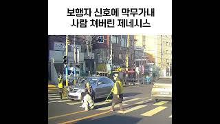 막무가내 사람 친 제네시스