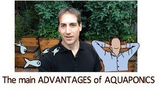 The main advantages of AQUAPONICS