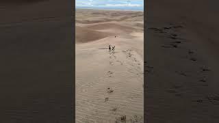  Dogs on the Dunes ️  #rescuedog #dogsthathike #dog #nature #adventure #outdoors #colorado #hike