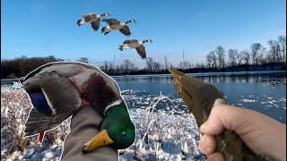 GOOSE HUNTING the HARD FREEZE! W/ Unexpected MALLARD and GEESE Mixed Bag!