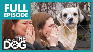 Victoria Battles to Save 60 Dogs in Collapsing Shelter! | Full Episode | It's Me or The Dog