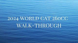 2024 WORLD CAT 260CC WALK-THROUGH