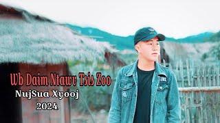 Nuj Sua Xiong - Wb Daim Ntawv Tsis Zoo (Official Music Video)