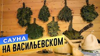 Сауна «На Васильевском» | БАНИ.РФ