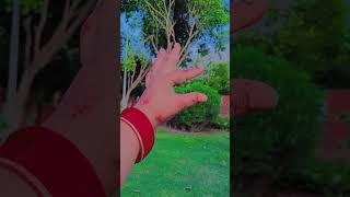 tip tip barsa Pani  #Prithvi #vlog #short# video#trending ️️ #Hindi #song