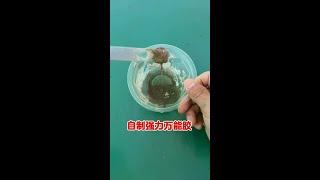 自制强力万能胶 #生活小妙招#电器 #维修 #修理 #供电