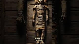 "Mummifications in the World" #history #ancienthistory #archaeologicaljourney #mummification