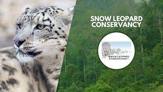 How Local People Are Saving Snow Leopards | Wildlife Conservation Expo 2022