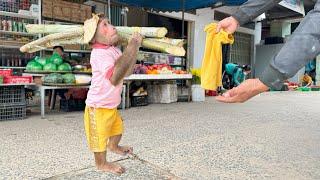 Cutis harvest sugarcane sells to redeem shirt when had trouble at market 